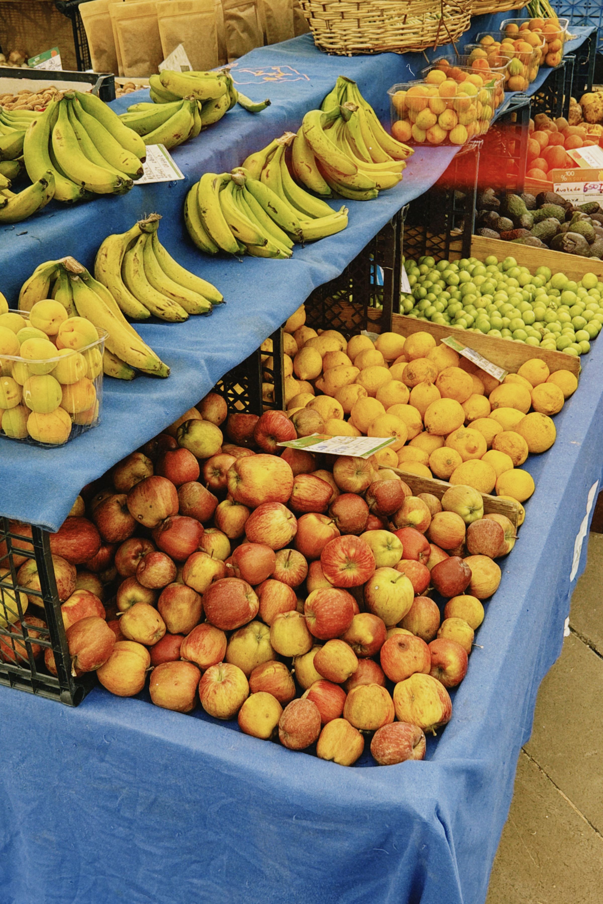 Étal de fruits en volume chez un grossiste